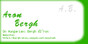 aron bergh business card